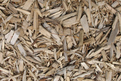 biomass boilers Tynant